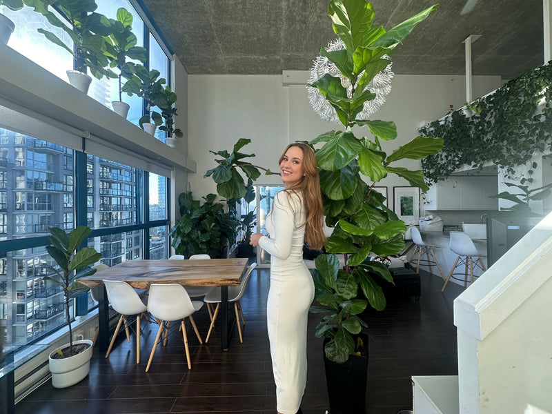 Social Media Accounts