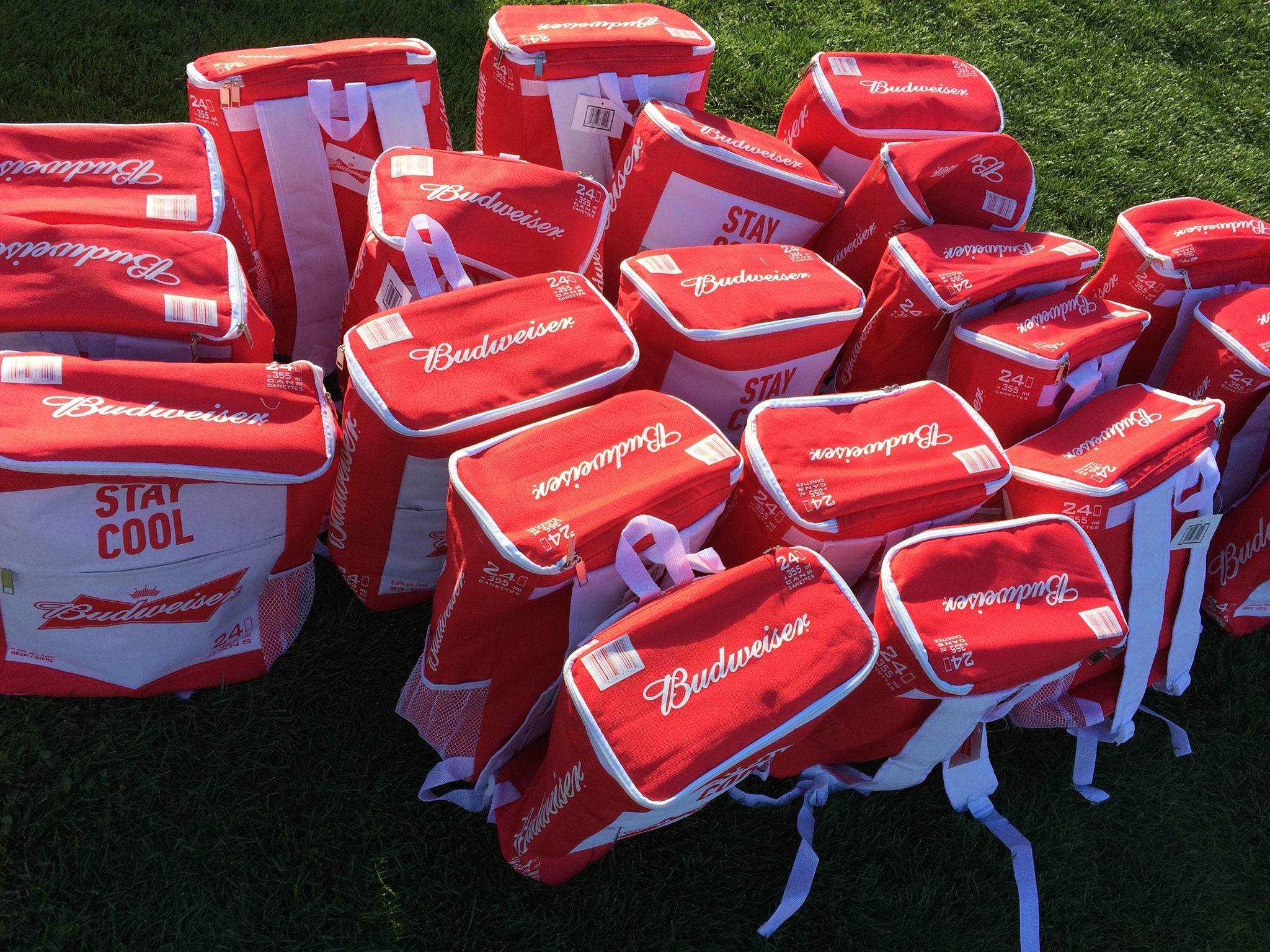 Budweiser Squamish Music Festival