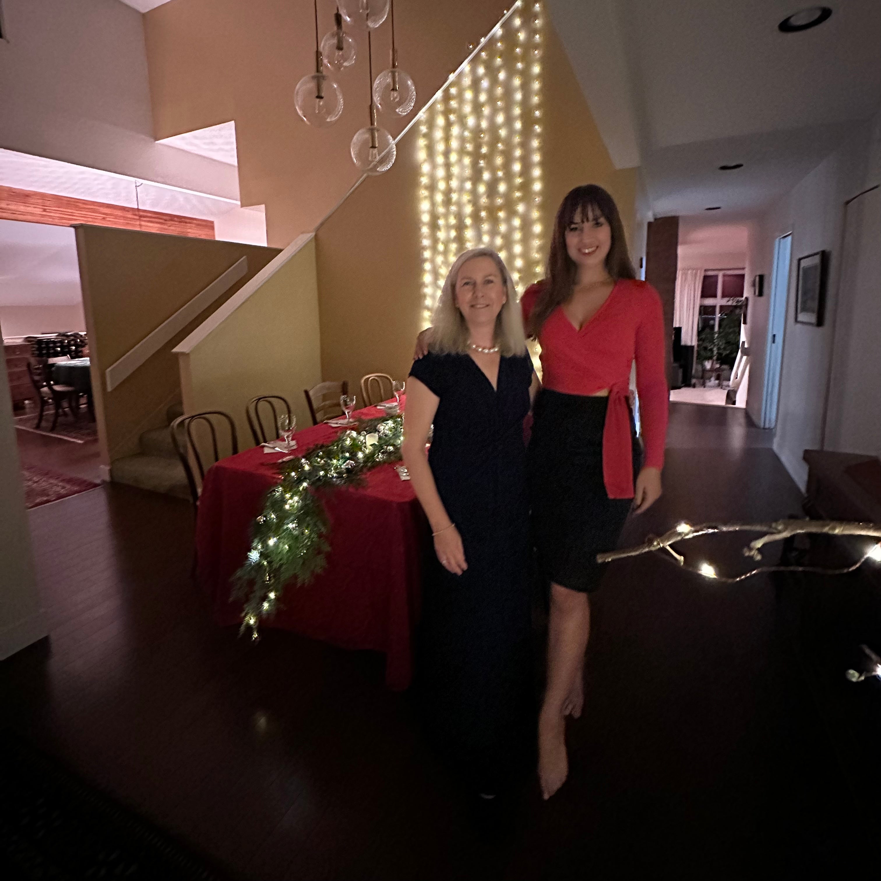 Waterfall White Light Christmas Dinner Party