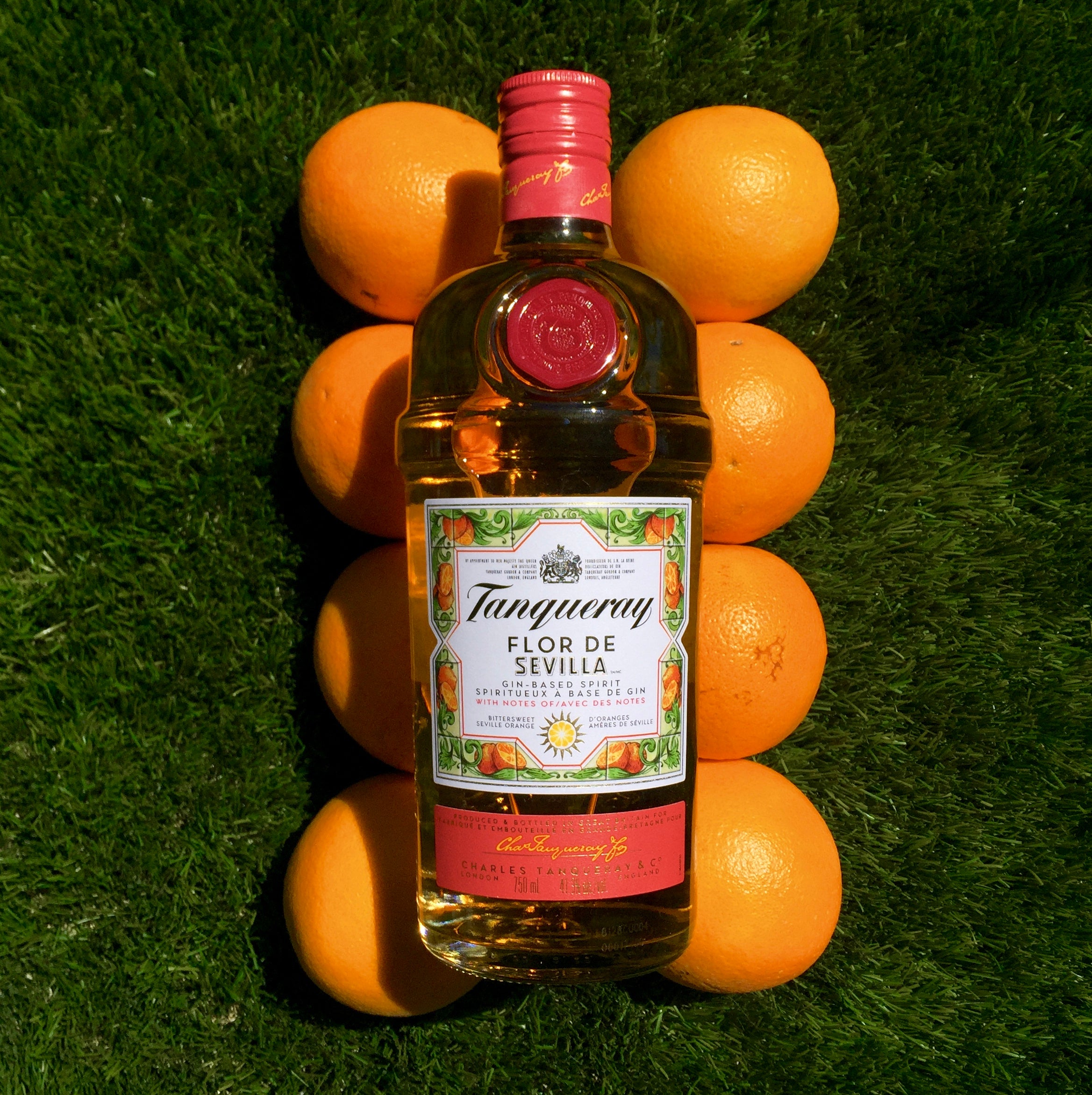 Bottle of Tanqueray Flor de Sevilla gin surrounded by oranges on a grassy background