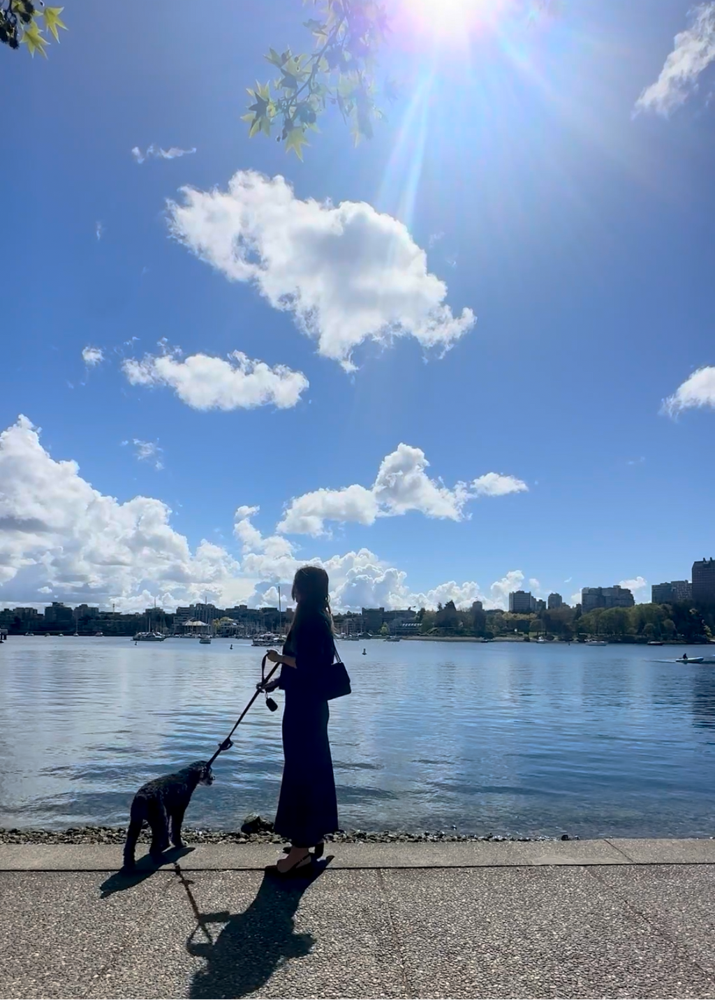 Seawall silhouette shot 