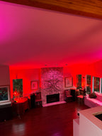 The Blair Witch Party