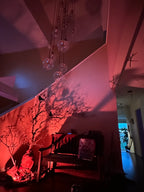 The Blair Witch Party