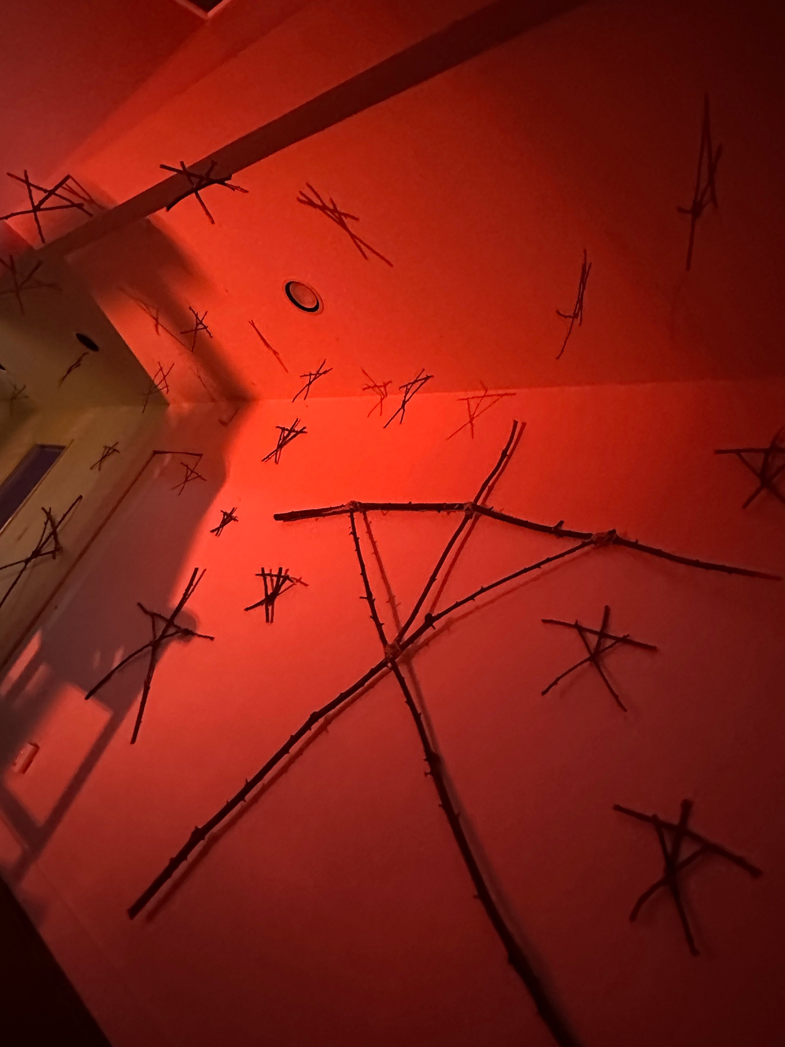 Twigs scattered on a red wall with a light source casting shadows