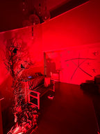 The Blair Witch Party