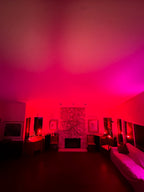 The Blair Witch Party