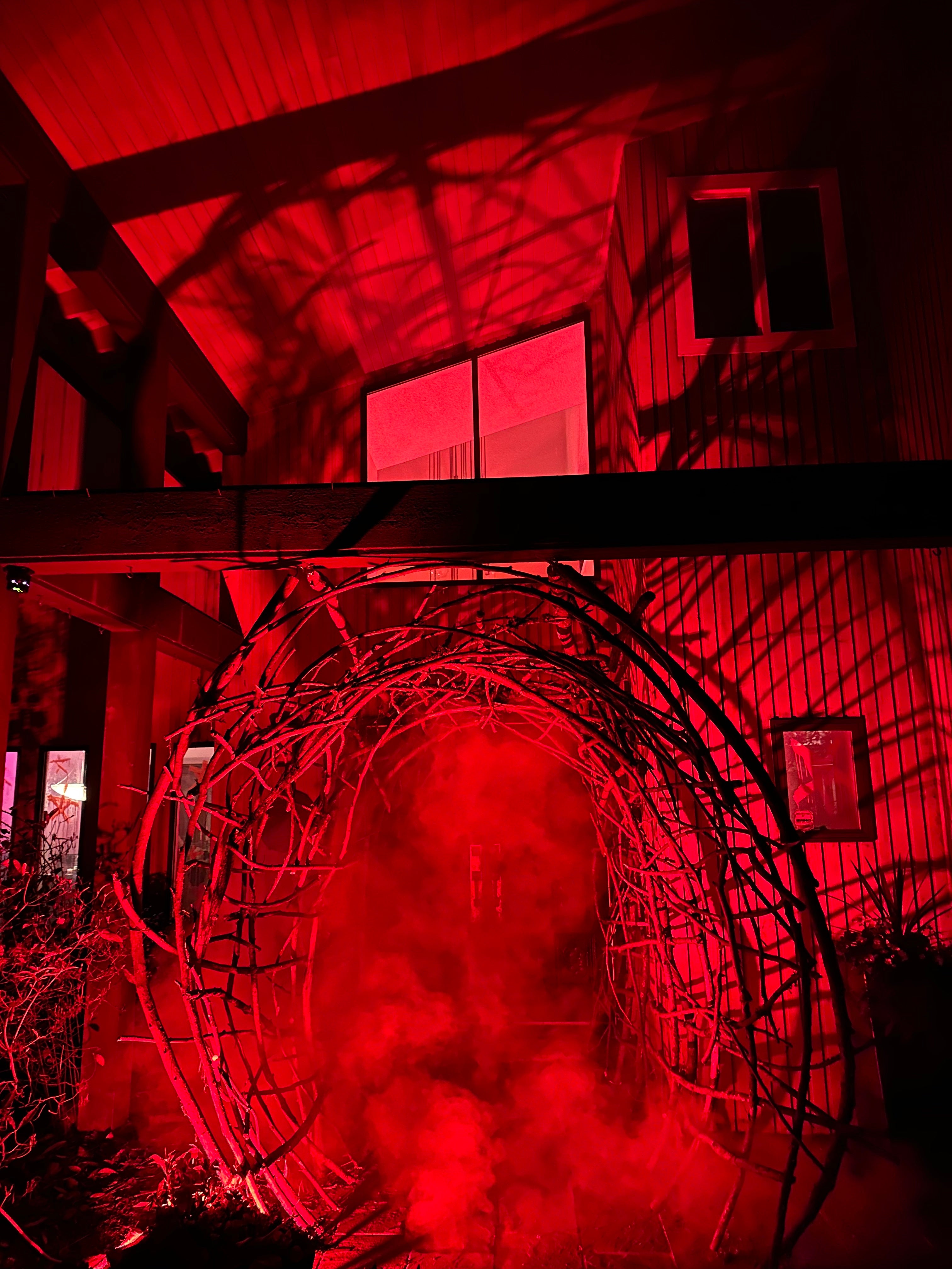 The Blair Witch Party