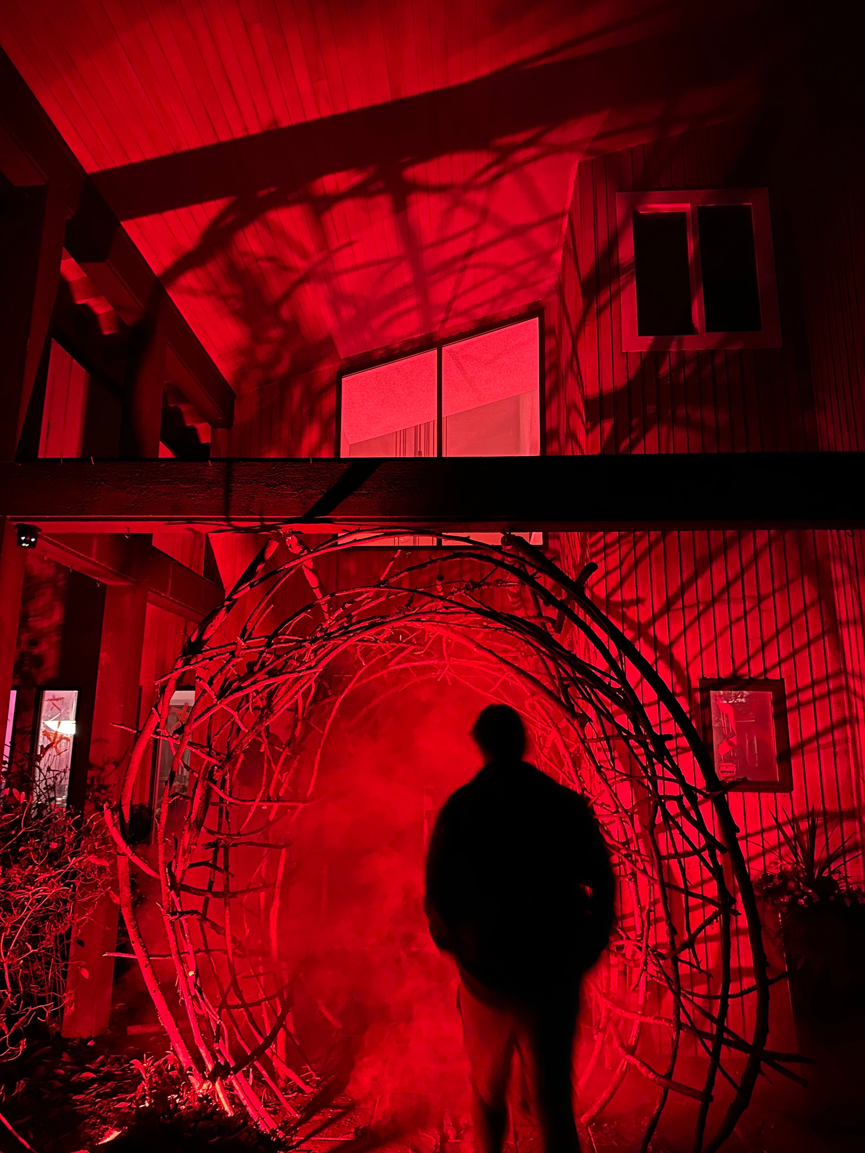 The Blair Witch Party