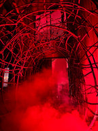 The Blair Witch Party