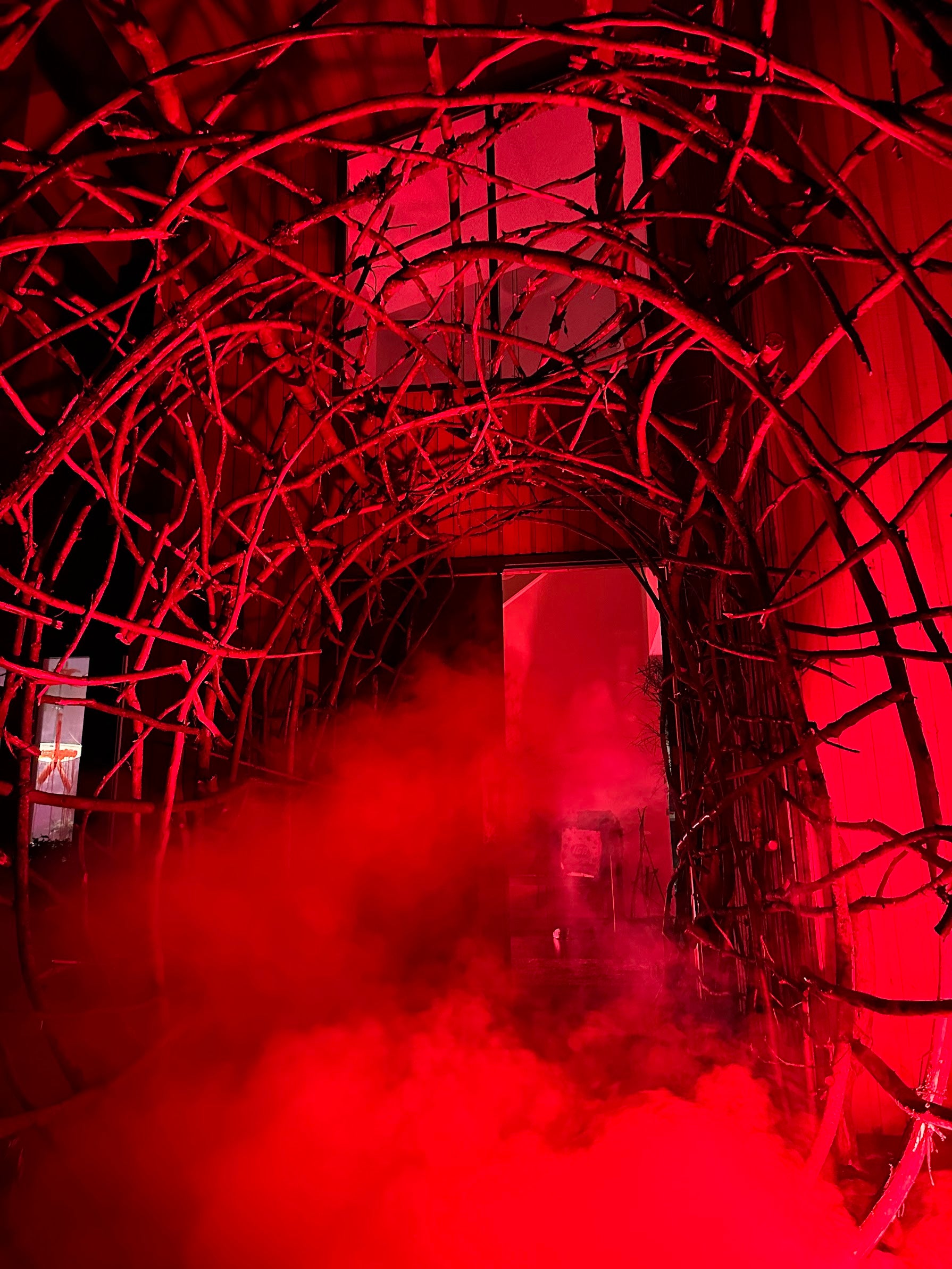 The Blair Witch Party