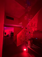 The Blair Witch Party