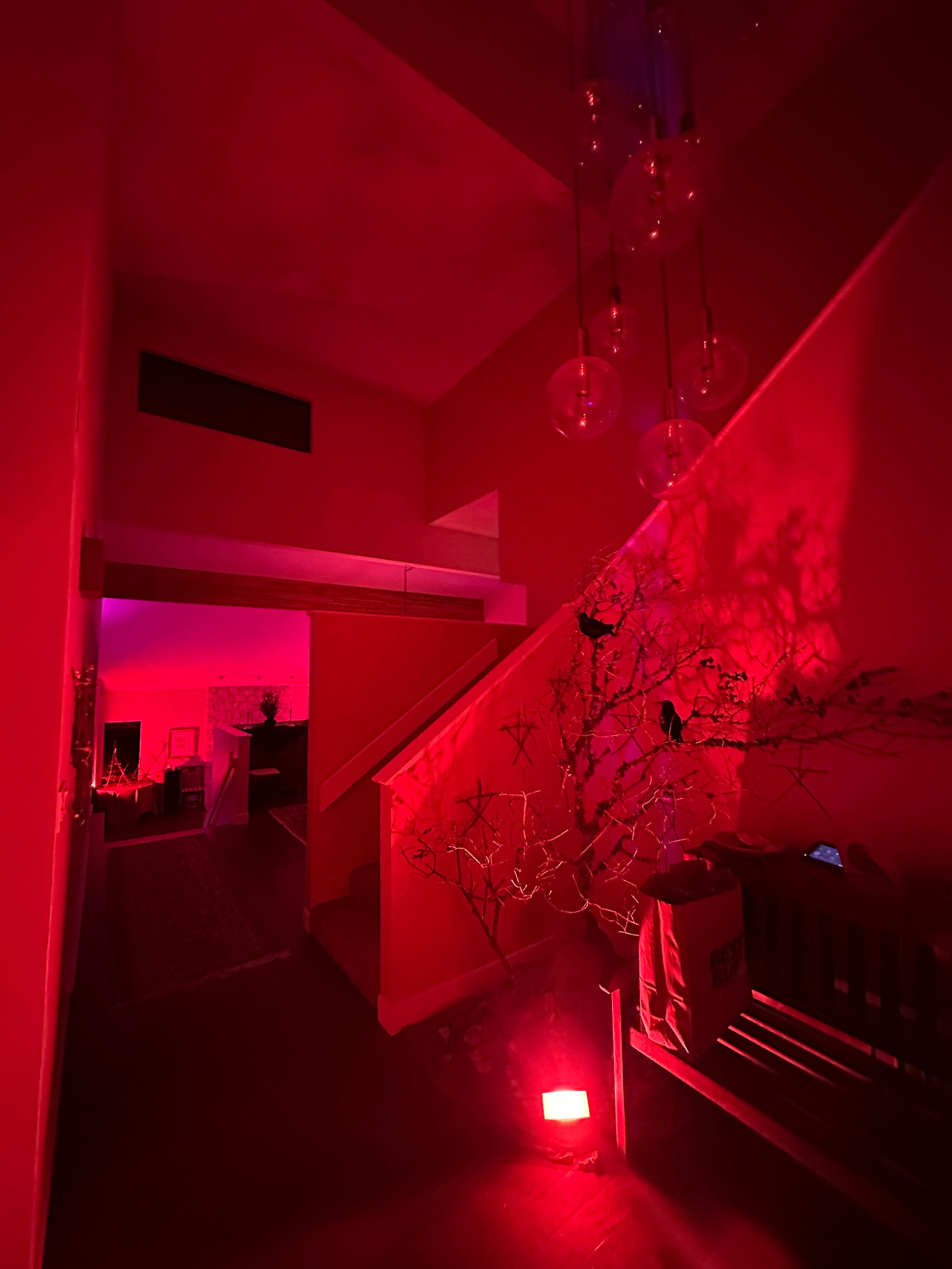 The Blair Witch Party