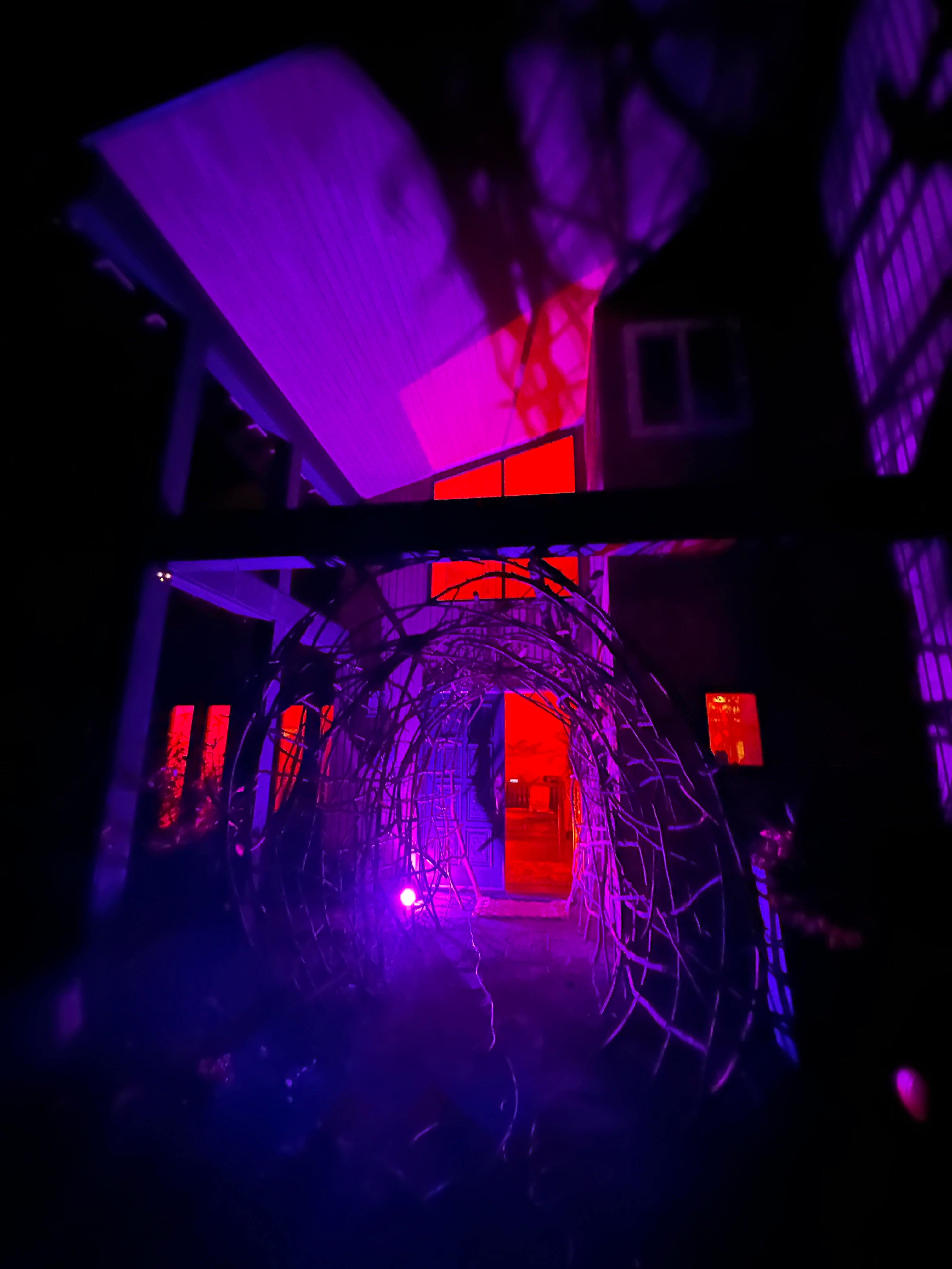 The Blair Witch Party