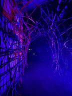 The Blair Witch Party