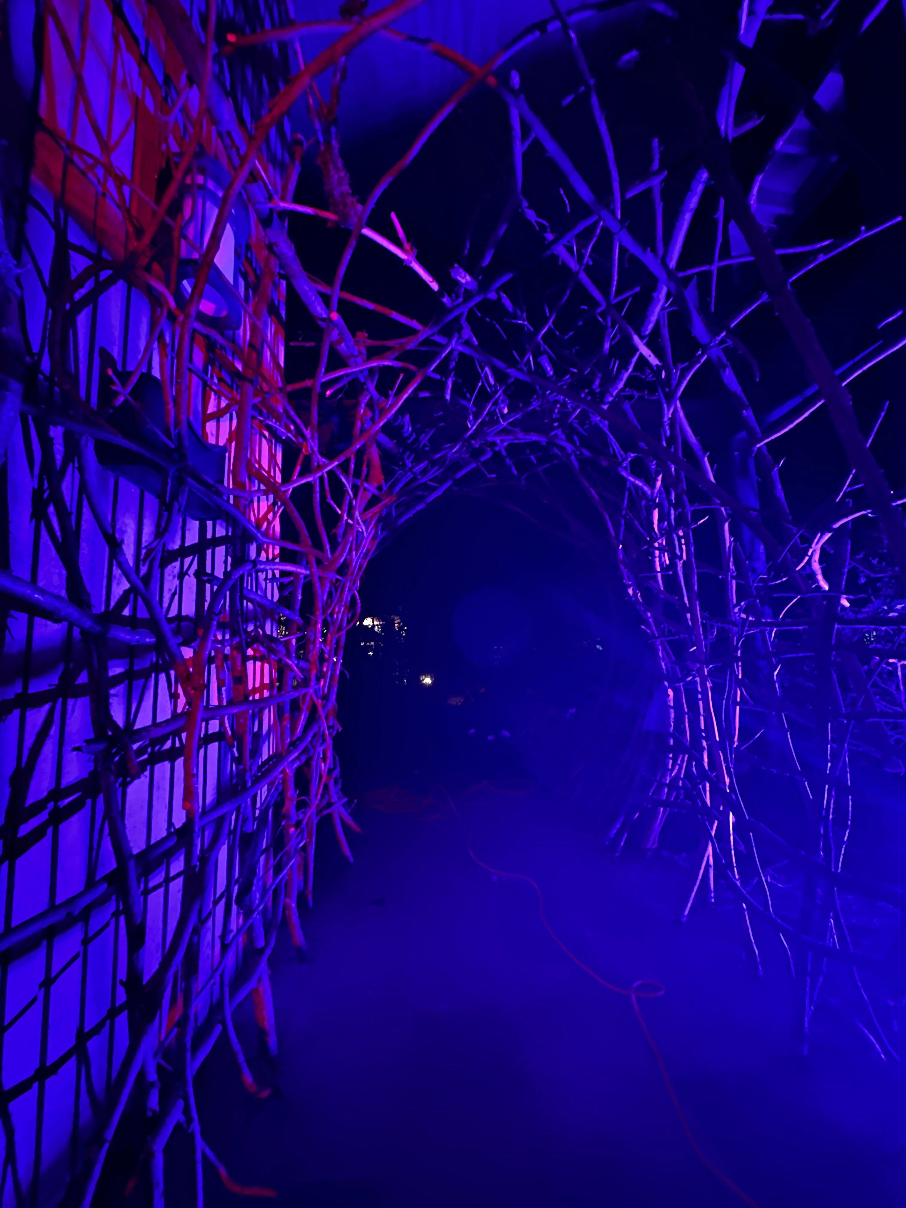 The Blair Witch Party