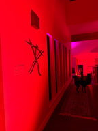 The Blair Witch Party