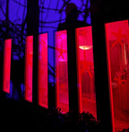 The Blair Witch Party