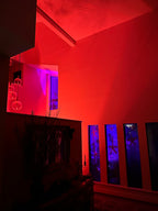 The Blair Witch Party