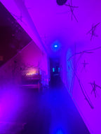 The Blair Witch Party