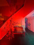 The Blair Witch Party