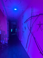 The Blair Witch Party