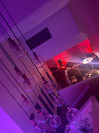 The Blair Witch Party