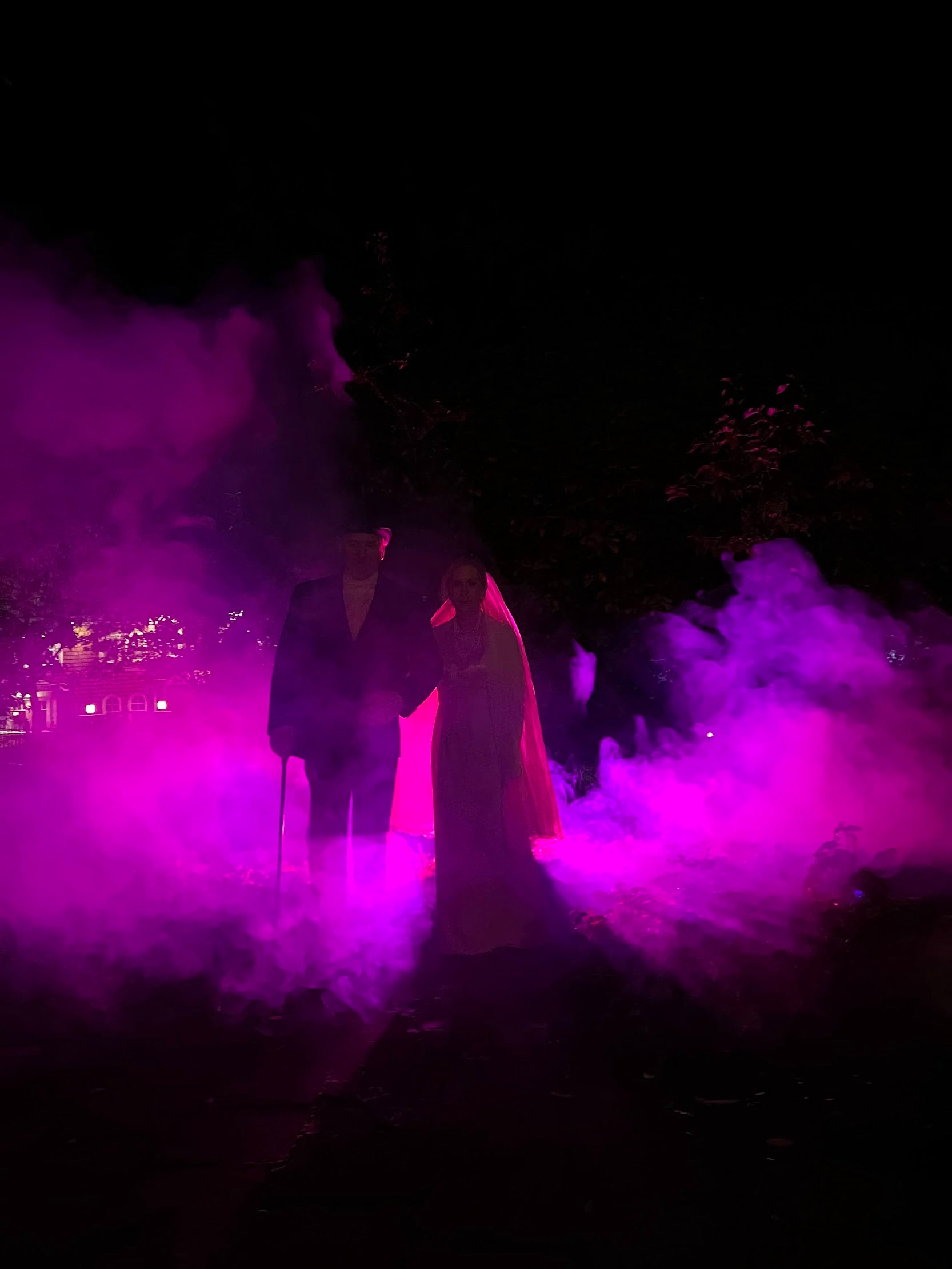 The Haunted Mansion Halloween Party