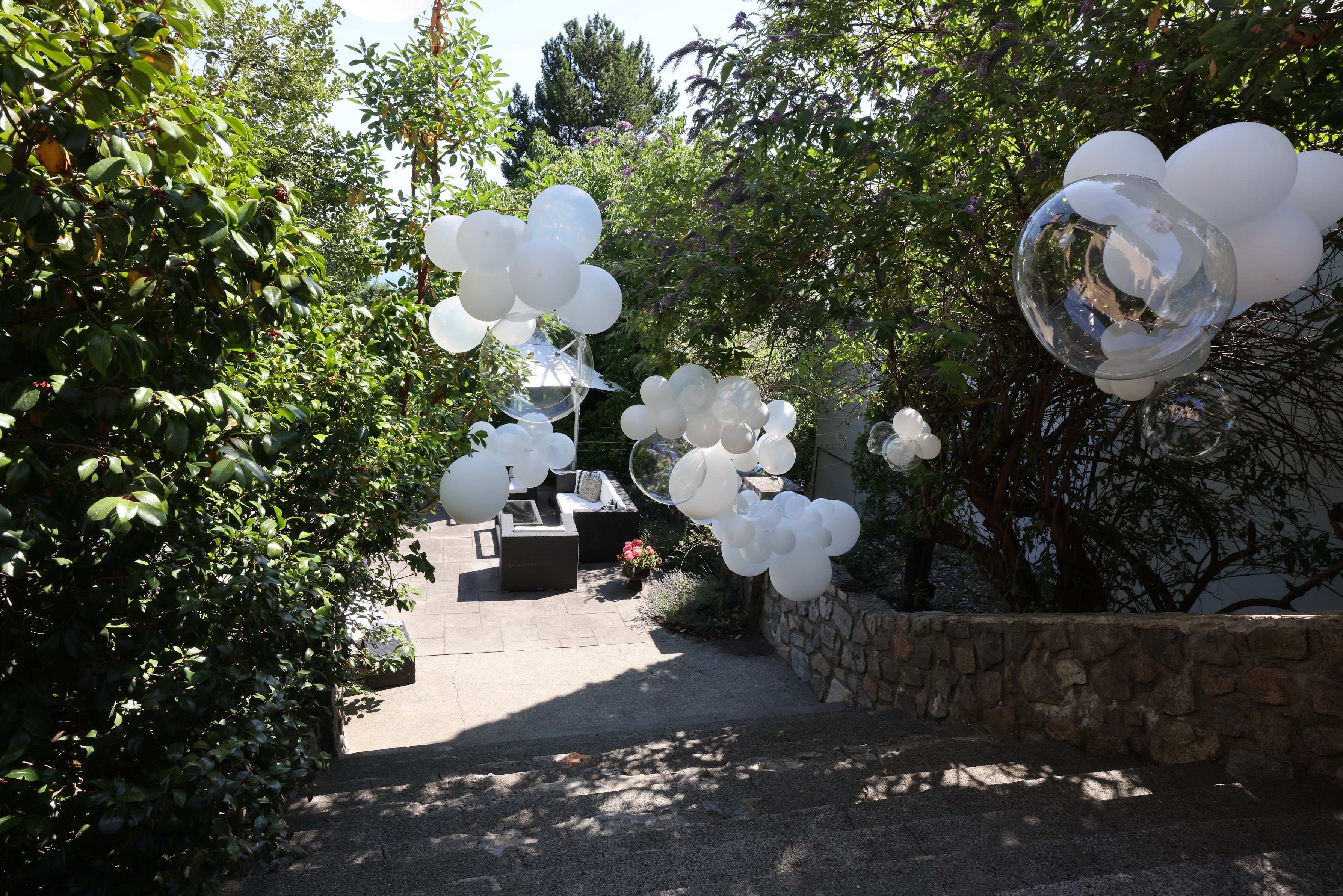 He Popped the Question