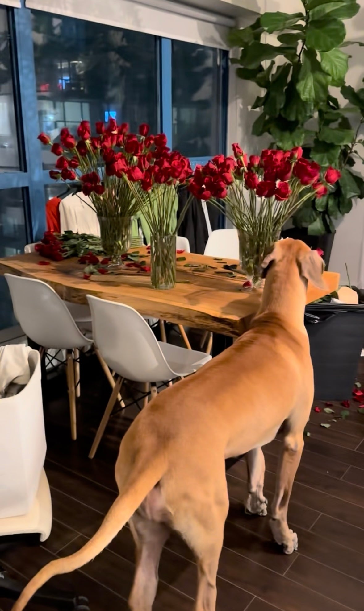 HRA Diamond Group Holiday Party