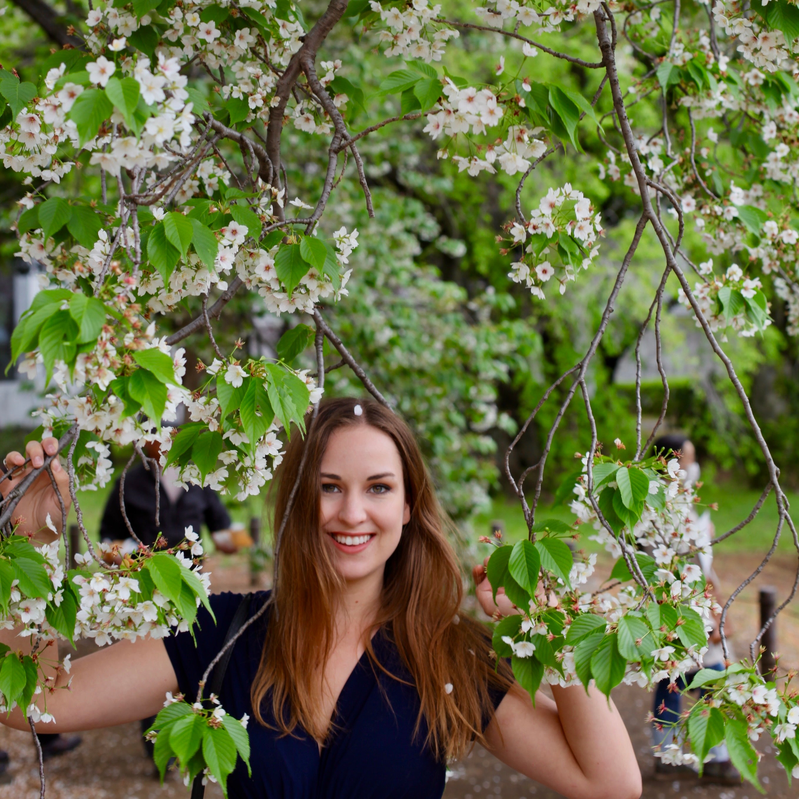 2026 Cherry Blossom Party