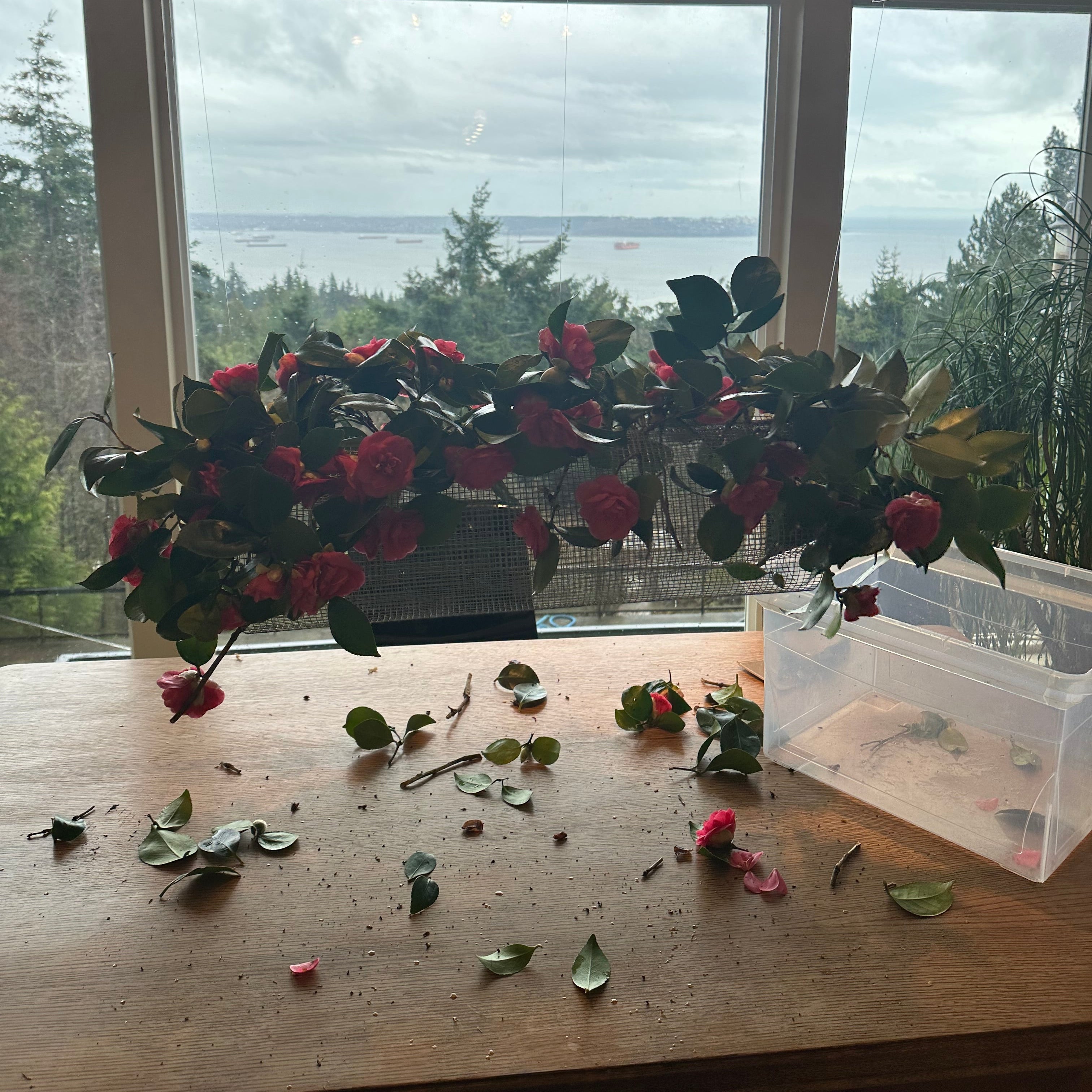 Floral arrangement on a windowsill with a view of trees and water outside.