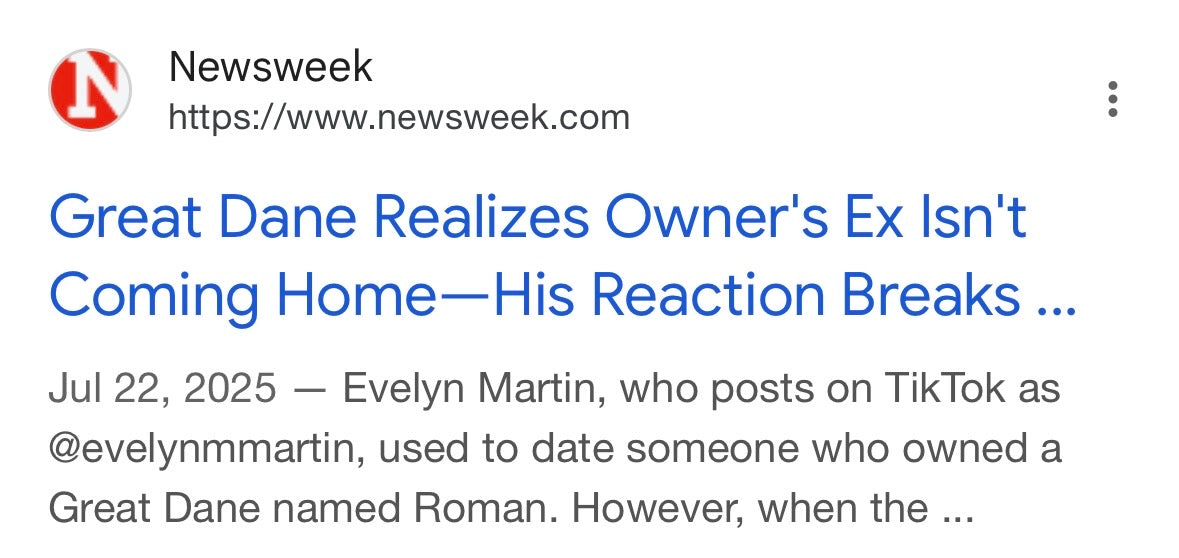 Press - Newsweek - July 22, 2025