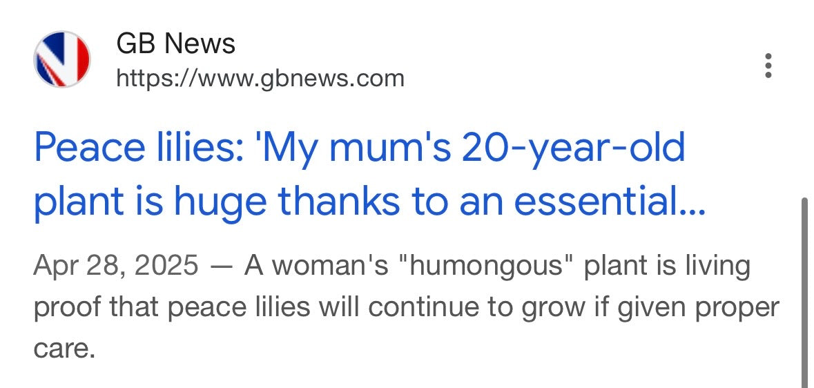 Press - GB News - April 28, 2025