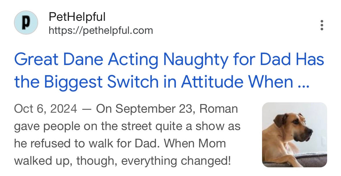 Press - Pet Helpful - October 6, 2024