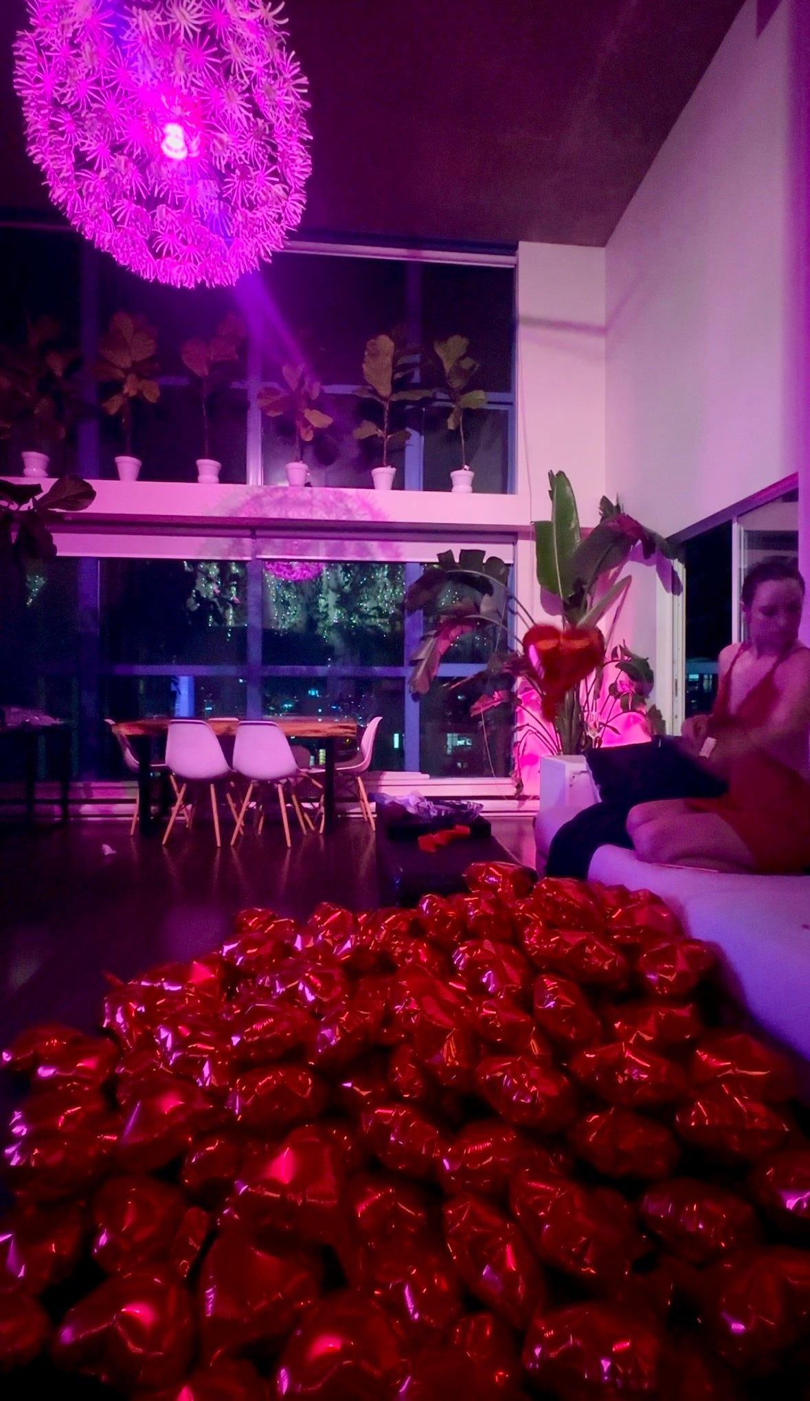 Valentines Party - Love is in the Air