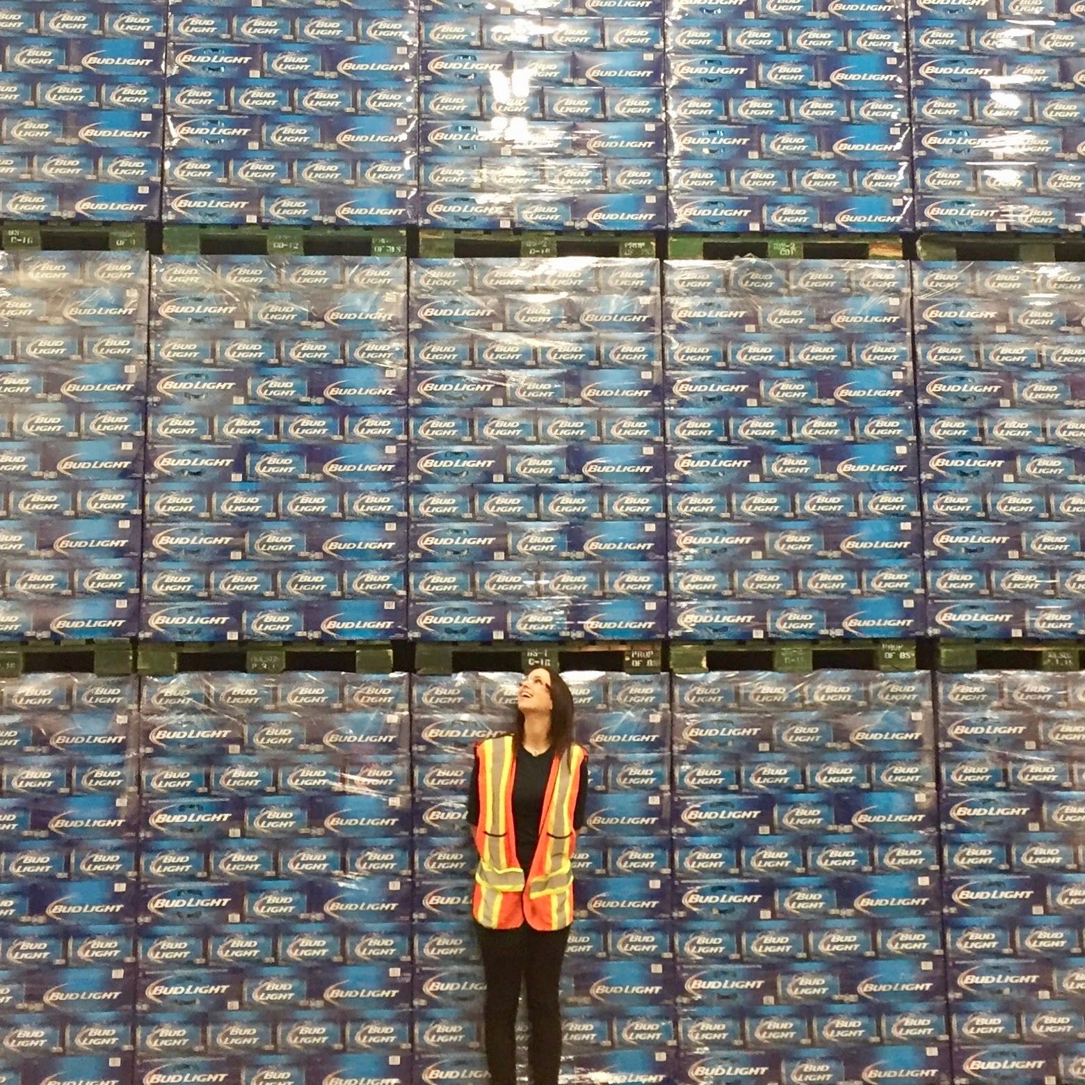 Sales Representative (Sales Talent Program, Western Canada), AB InBev (Labatt)