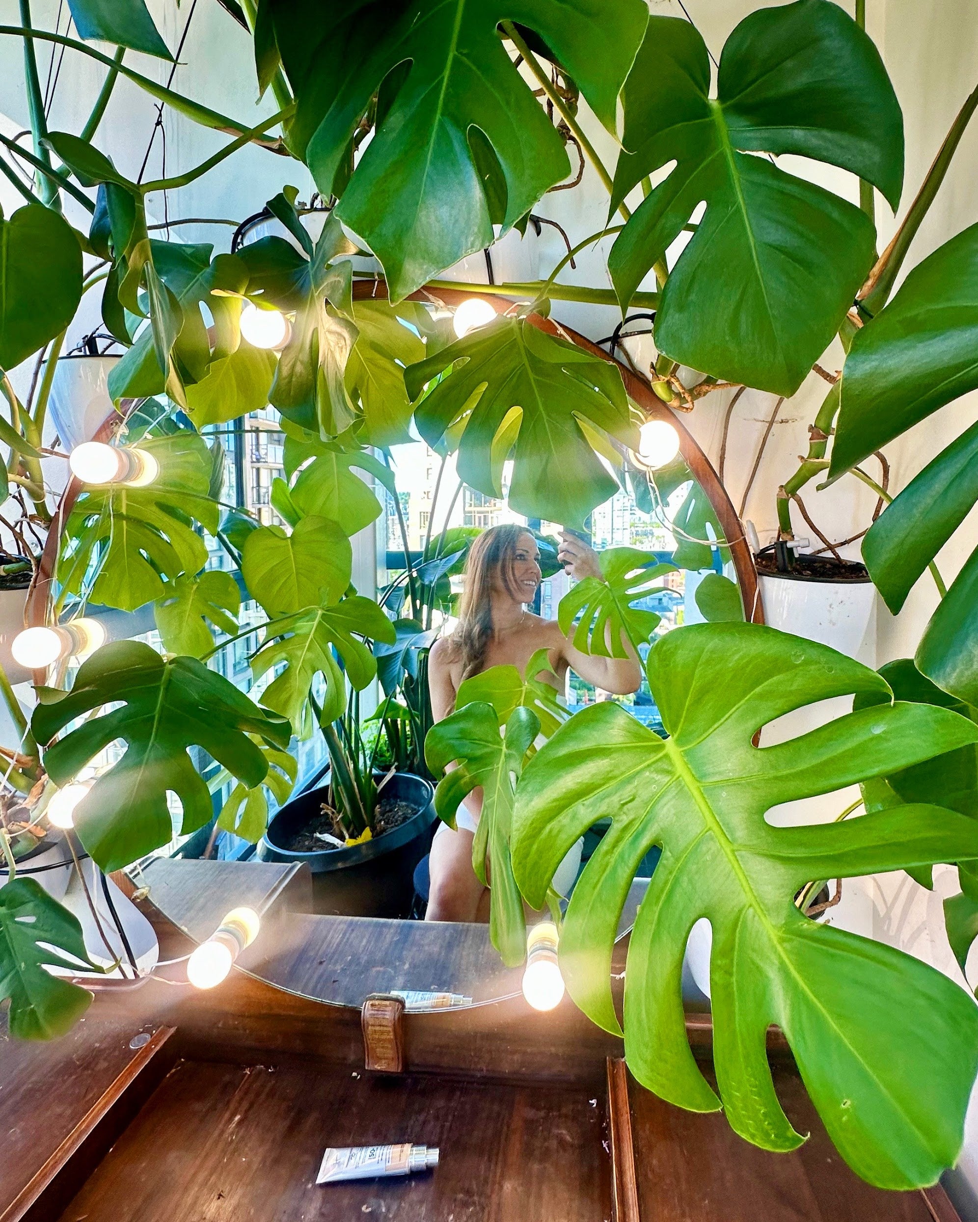 Indoor setting with green plants and string lights, featuring a person in the background.