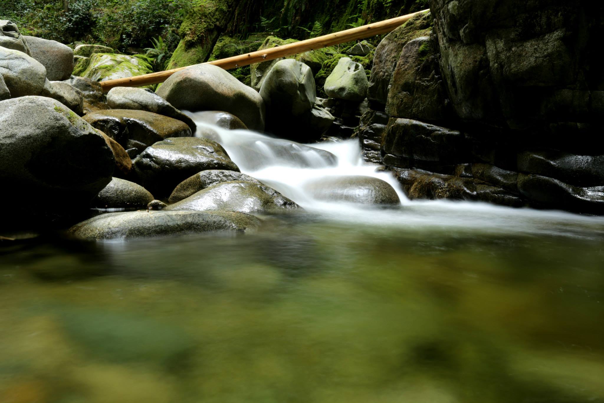 Stream flowing over rocks with a wooden stick in a forest setting