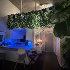 Modern interior with plants, a table, and chairs in a dimly lit room.