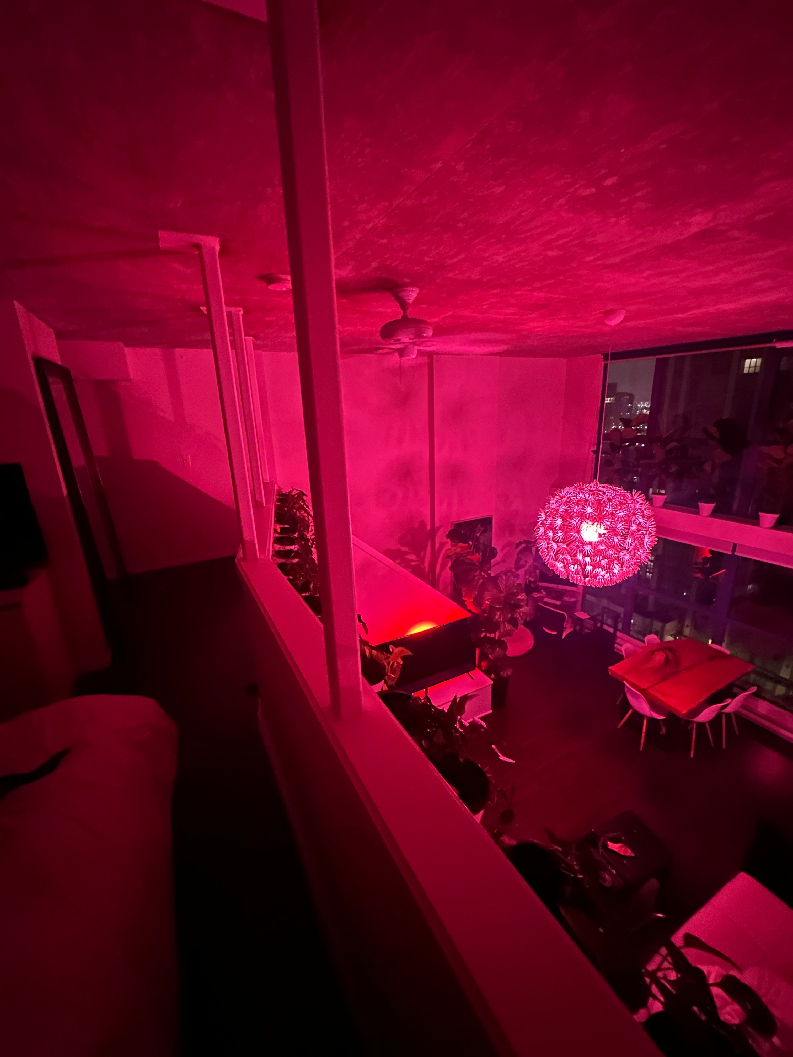 Pink-lit room in a luxury loft with plants and decorative lights