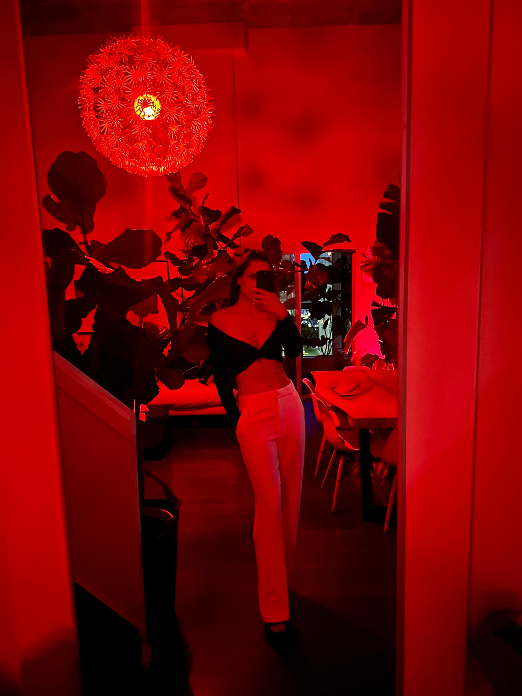 Red-lit room with plants and a person sitting at a table.